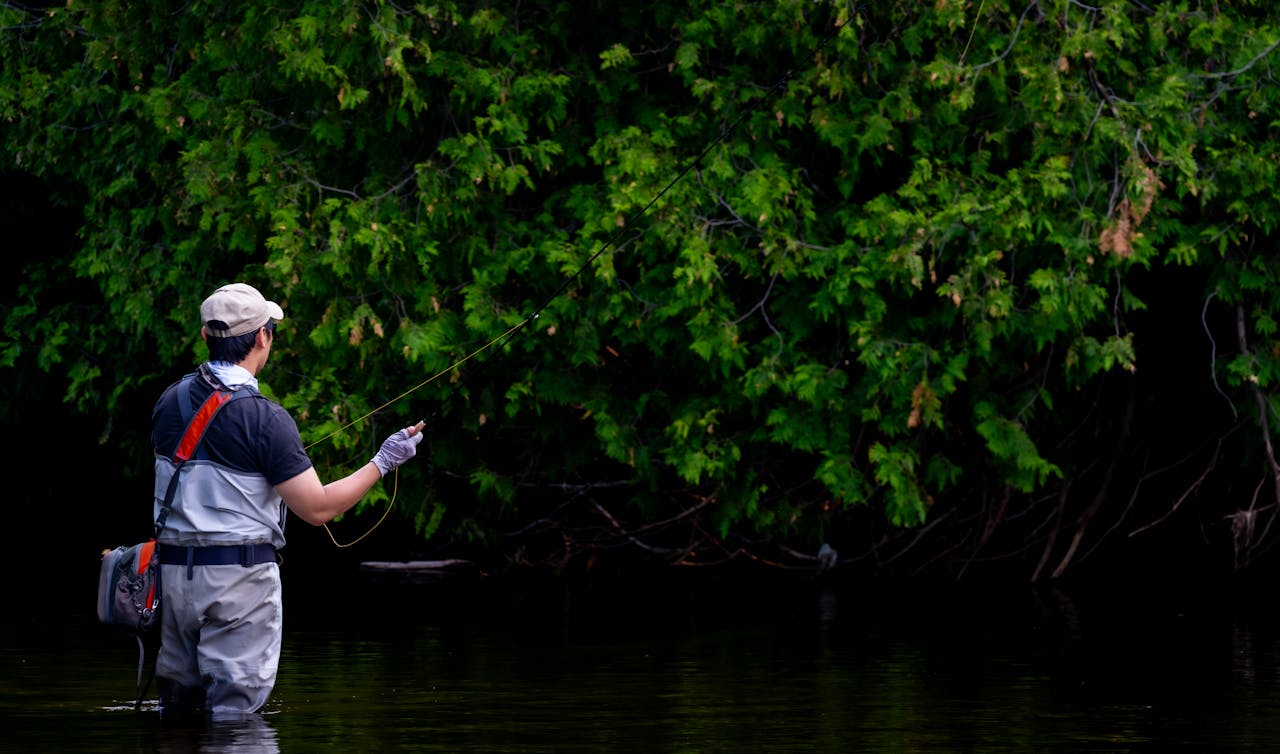 Man fly fishing in a tranquil river surrounded by lush greenery.
